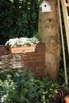 green basics trough allin1 70cm mild terra